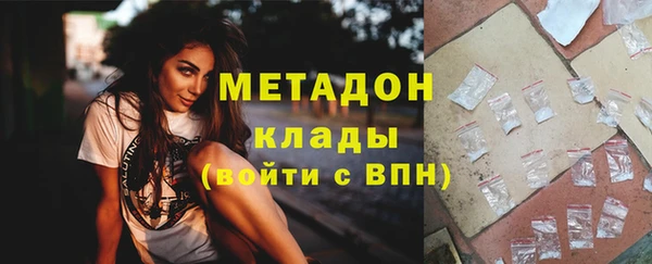 хмурый Аркадак