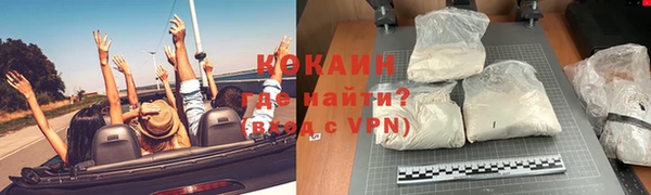 хмурый Аркадак
