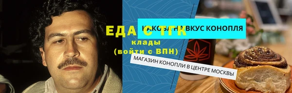 хмурый Аркадак