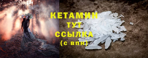 хмурый Аркадак