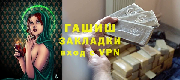 хмурый Аркадак