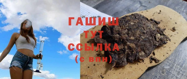 хмурый Аркадак
